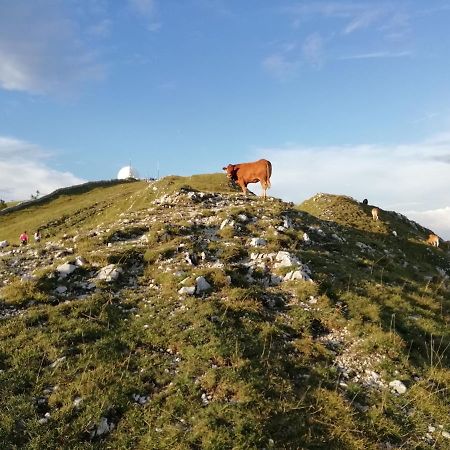 Cahute De Montagne Pour Profiter Du Haut Jura Prémanon Exterior foto
